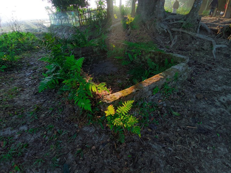 grow instagram following quickly