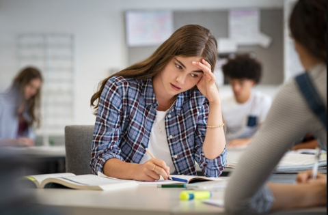 The Student Stress Guide: Balancing Heavy Coursework and Mental Wellbeing in 2026